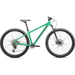 Rockhopper Expert 29                                                            