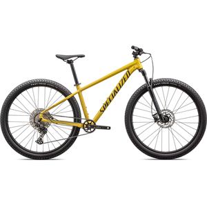 Rockhopper Expert 29                                                            