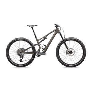 Specialized Stumpjumper 15 Expert                                               