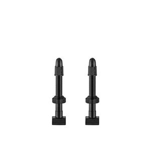 GIANT TUBELESS VALVE STEMx2 42mm                                                