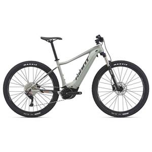 Fathom E+ 2 29er-M21 Desert Sage                                                