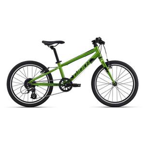 GIANT ARX 20                                                                    